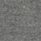 Ground SandFootprintsWet 0 01