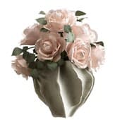 Plant862