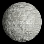White_Curly_wool