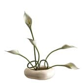 Plant873