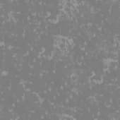 snow  with dry leaves 2