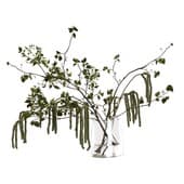 Plant843