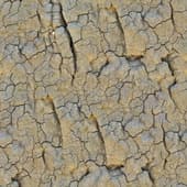 cracked  dirt
