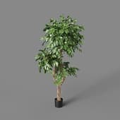 Искусственное дерево Celeste Ficus Benjamina 210 cm