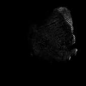 Finger_Print_42