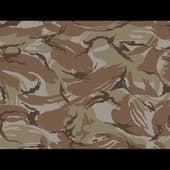 Camouflage_06