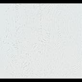 Thibaut Modern Resource Volar collection T411-3