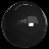 Leather Shiny Black1
