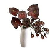 Plant831