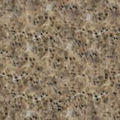 brown  rock with holes