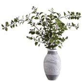 Plant428