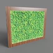 fitomir greenwall 01