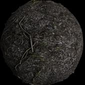 FORESTFLOOR-02 #1