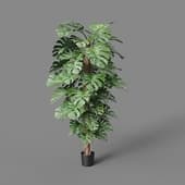 Искусственное растение Monstera Tree Trunk 205 cm