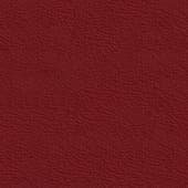 red  leather 8