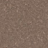Ground Rocky0 01