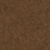 Ground GrassBrown0 02