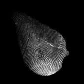 Finger_Print_22