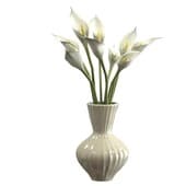 Plant894