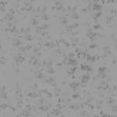 snow  covering grass 3