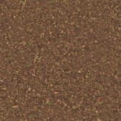 Ground DirtForest0 01