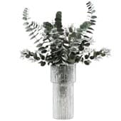 Plant427