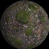 GroundForestMossy002 6K