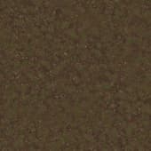 Ground DirtForest0 09