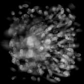 Smudges_Hand_02