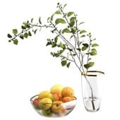 Plant429