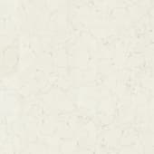 TilesMarbleSpiderWhiteHoned001