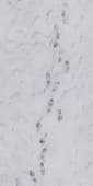 Ground SnowFootprints 0 04