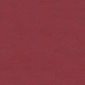 red  leather 2