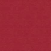 red  leather 1