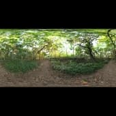 river_walk_1_4k