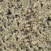 rough  grey stone 3