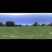 noon_grass_4k