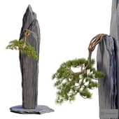 Bonsai 01 | PBR | Midpoly | HQ