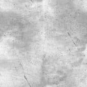 Dust (1)