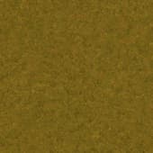 Ground GrassYellow0 01