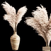 Pampas