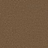 Ground Rocky0 02