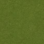 Ground GrassFieldGreen 0 01