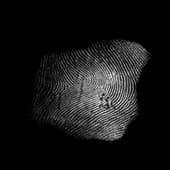 Finger_Print_28