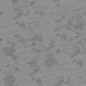 snow  with forest litter