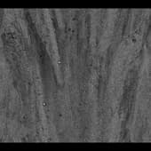 Stains_Liquid_21