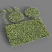 grass 09