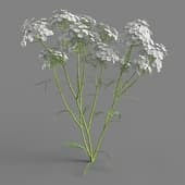 033 FacebookPage TN3dModel