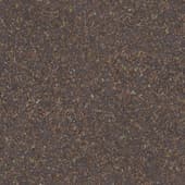 Ground MudLeaves0 02