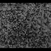 Stains_Liquid_03
